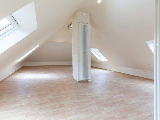 Großzügige Raumreserve im Dach