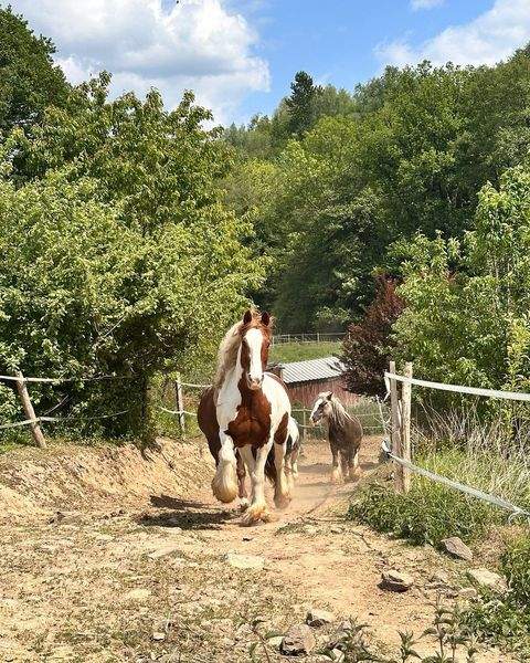 Lindlar Häuser, Lindlar Haus kaufen