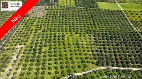 Sivas Bauernhöfe, Landwirtschaft, Sivas Forstwirtschaft