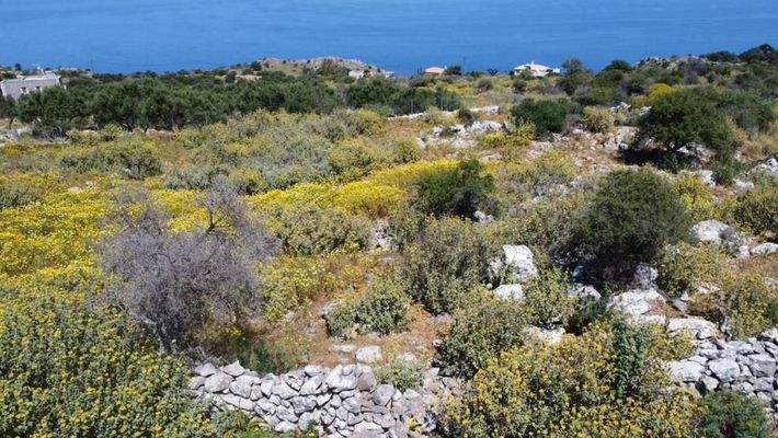 Kreta, Kefalas Chania: Großes Grundstück mit unverbautem Meer- und Bergblick zu verkaufen