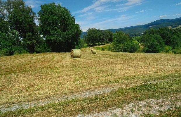 Waldwiesengrundstück im Bungalowgebiet Fußberg