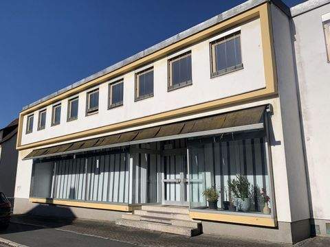 Rehau Halle, Rehau Hallenfläche