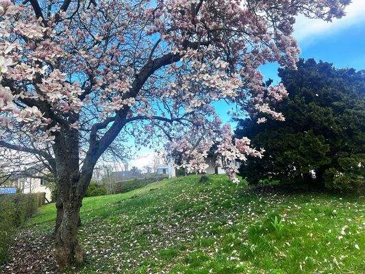 großzügiges Grundstück mit Erweiterungspotenzial