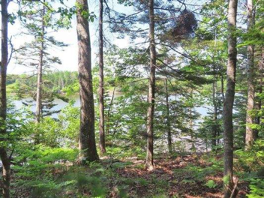 Cape Breton - Cleveland - Wunderschönes Fluss-Ufer