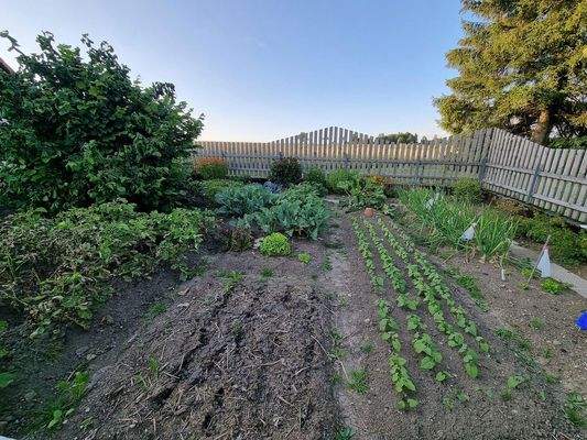 Gemüsegarten