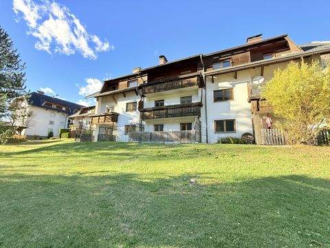 Steinfeld Wohnungen, Steinfeld Wohnung kaufen