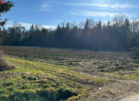 Rabenhof Grundstücke, Rabenhof Grundstück kaufen