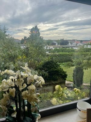 Blick aus dem Wohnzimmer.jpg