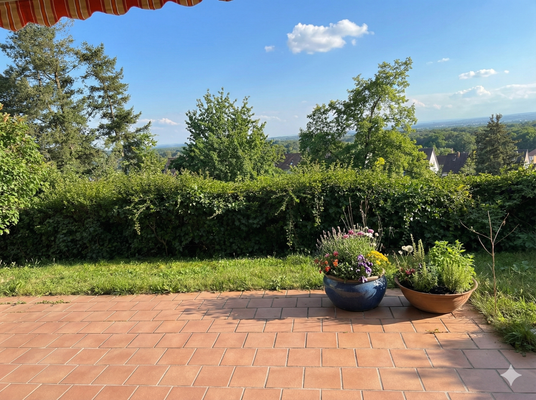 Blick von Terrasse Ergeschoss