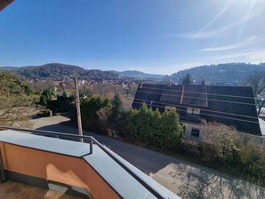 ...mit Blick auf Schloss Wilhelmsburg