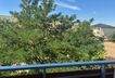 IMG_5761.jpeg