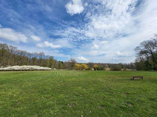 Schlosspark mit Teich