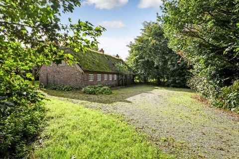 Lemvig Bauernhöfe, Landwirtschaft, Lemvig Forstwirtschaft