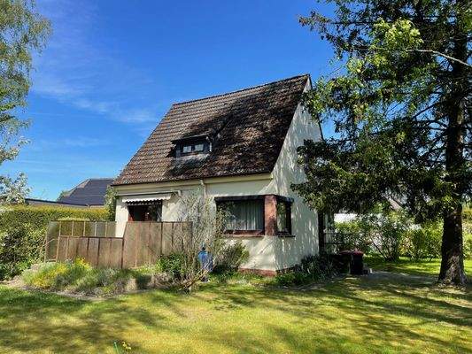 Blick aus dem Garten zur Strasse