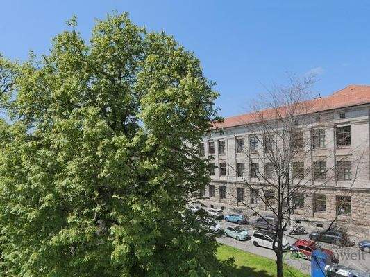 Blick aus dem Küchenfenster