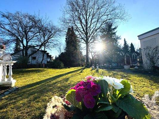 Garten - Sonnenuntergang