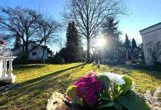 Garten - Sonnenuntergang