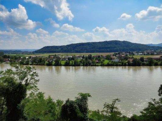 Ausblick auf den Rhein