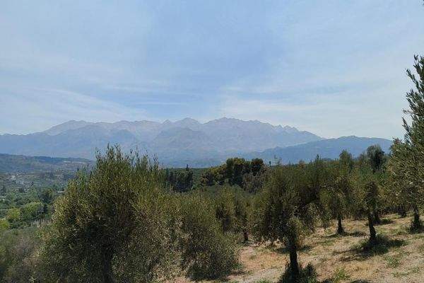 Kreta, Kalyves: Weitläufiges Grundstück mit Meerblick zu verkaufen