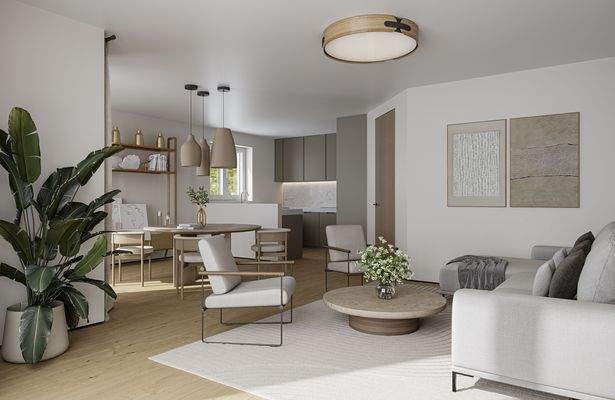 Wohn-Esszimmer Visualisierung