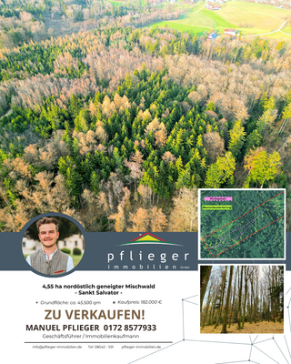 Startbild Waldgrundstück