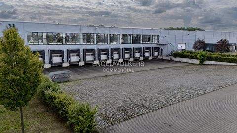 Blumberg Halle, Blumberg Hallenfläche