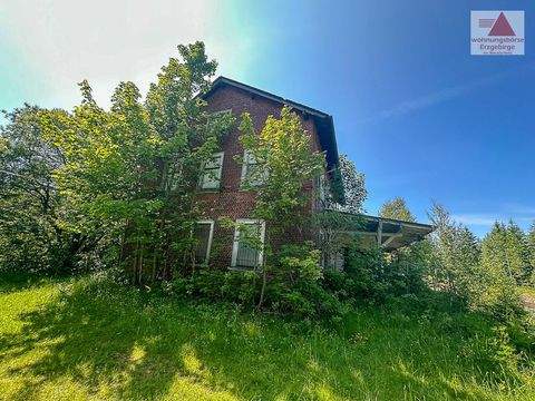 Grünbach / Muldenberg Häuser, Grünbach / Muldenberg Haus kaufen