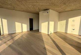 20241108_141502829_iOS