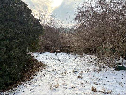 Grundstückseinblick