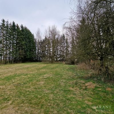 Wiese Süden