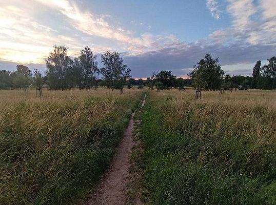 Elbwiesen gegenüber