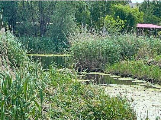 Graben am Grundstück