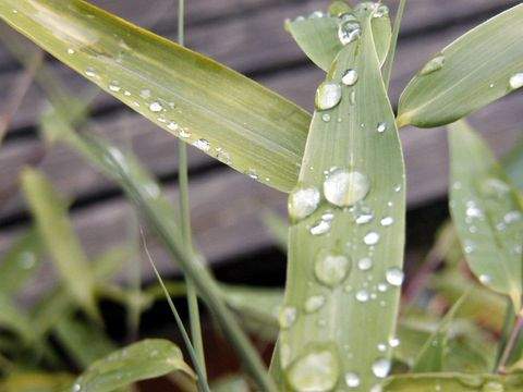 Wellheim Bauernhöfe, Landwirtschaft, Wellheim Forstwirtschaft