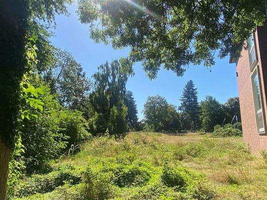 4 Freifläche hinter Schulgebäude