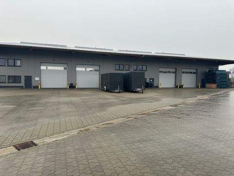 Egestorf Halle, Egestorf Hallenfläche