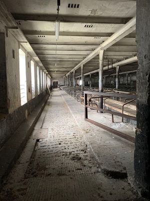 IMG_7525
