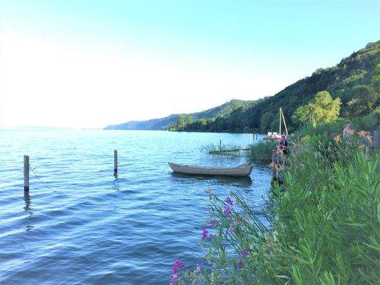 Bodensee mit Blumen.jpg