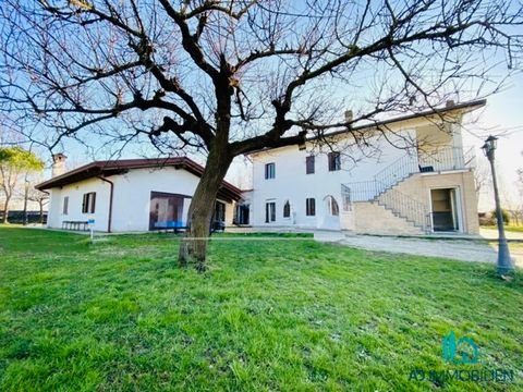 Palazzolo Dello Stella Häuser, Palazzolo Dello Stella Haus kaufen