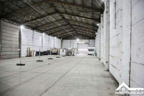 Magdeburg / Ottersleben Halle, Magdeburg / Ottersleben Hallenfläche