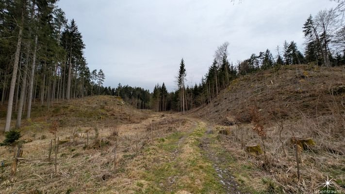 Waldgrundstück Moosburg