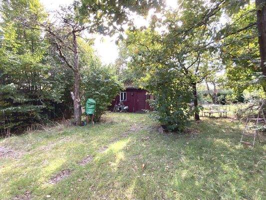 Grünfläche mit Gartenhaus