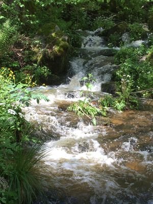IMG_3894.JPG