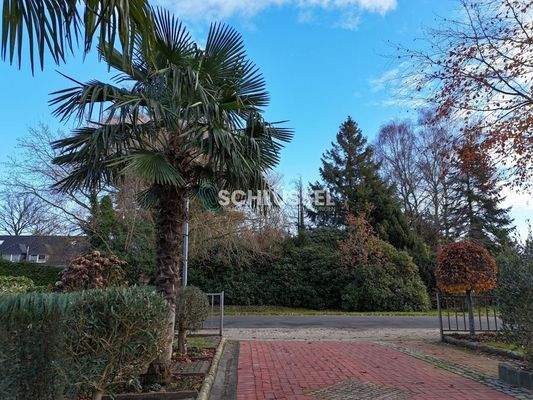 Auffahrt mit &quot;Florida-Feeling&quot;