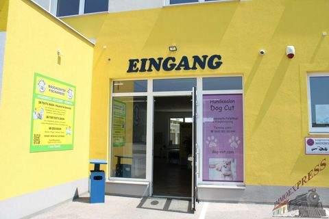 Fischamend Ladenlokale, Ladenflächen 