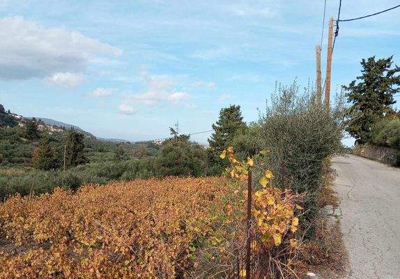 Kreta, Pemonia: Grundstück innerhalb der Siedlung zu verkaufen