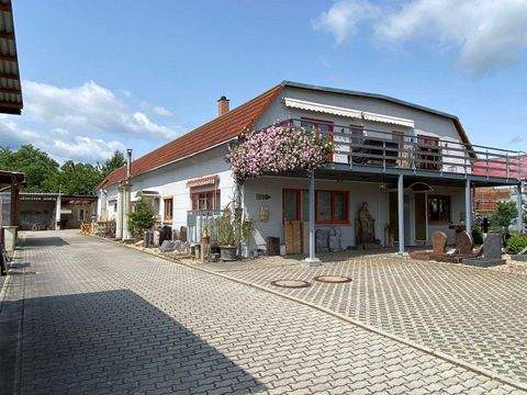 Bad Gottleuba-Berggießhübel Halle, Bad Gottleuba-Berggießhübel Hallenfläche