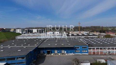 Monheim Halle, Monheim Hallenfläche