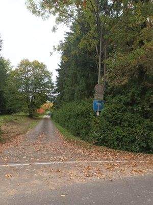 Zufahrt von der Strasse - Anliegerstraße.JPG