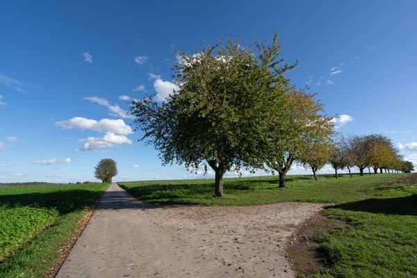 Oberriexingen