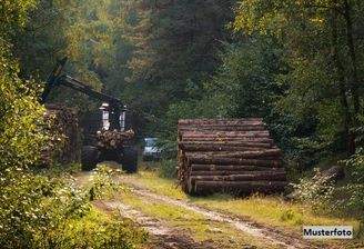 Keine Originalbilder